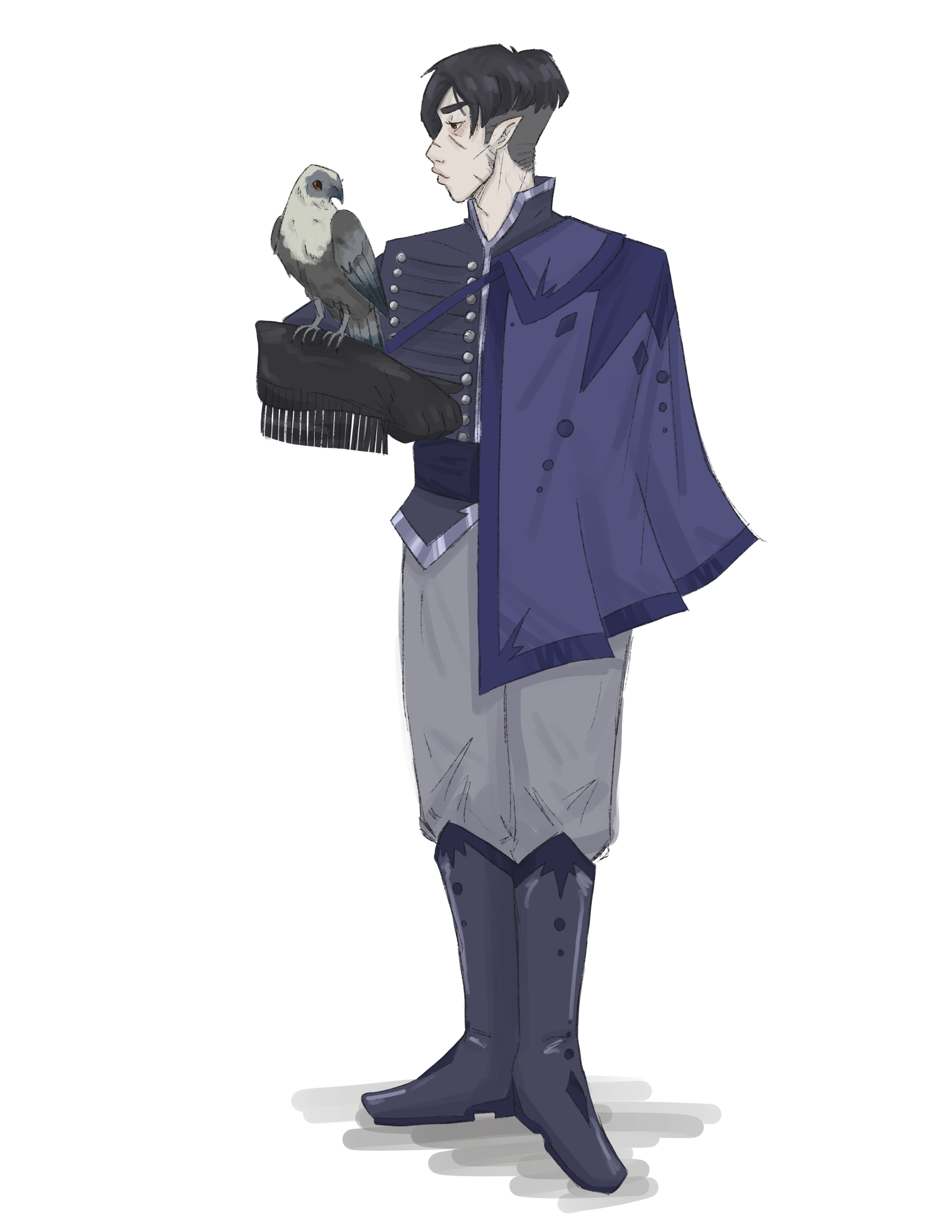 Concept art illustrating Dark Elf ancestry