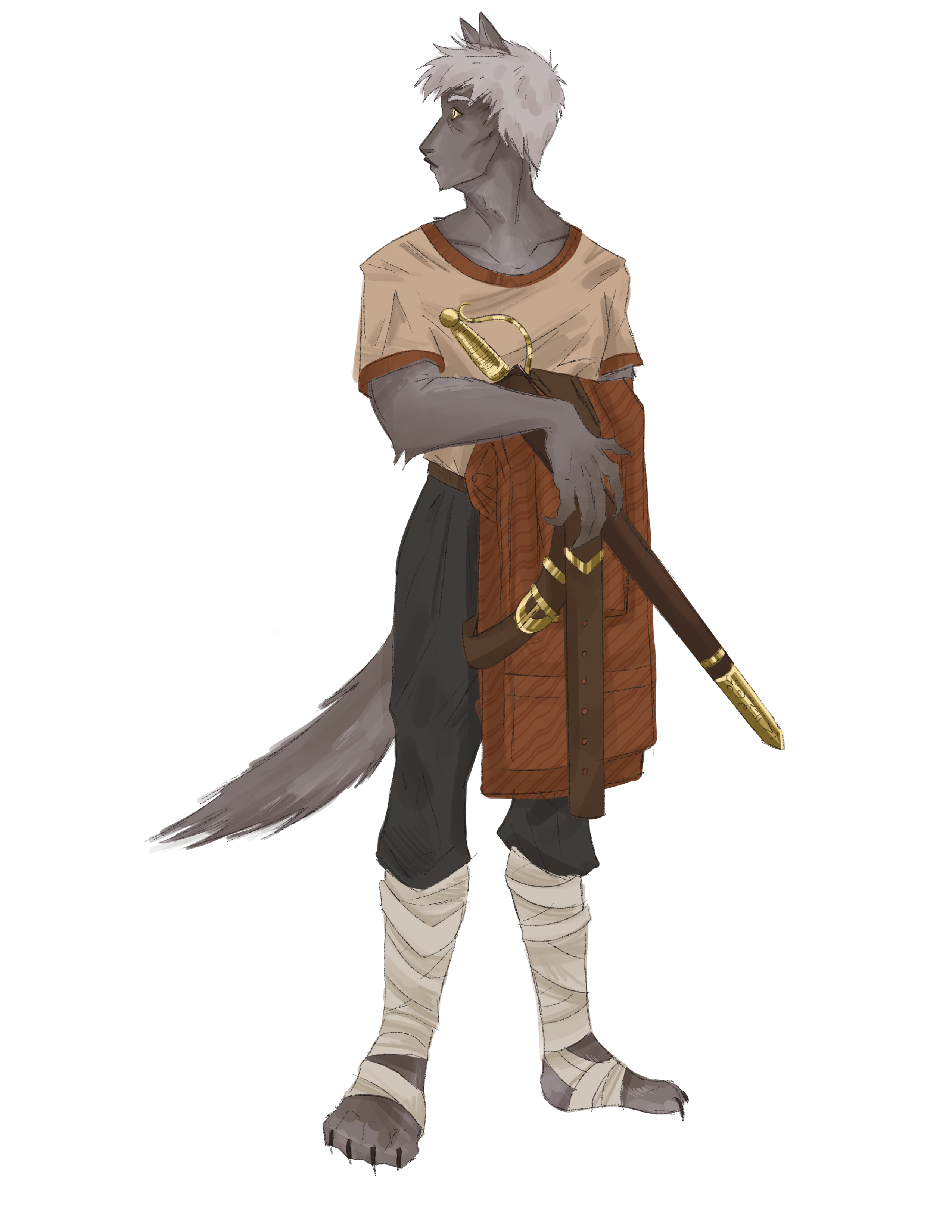 Concept art illustrating Wolfsbein ancestry